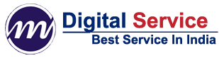 Digital Service logo